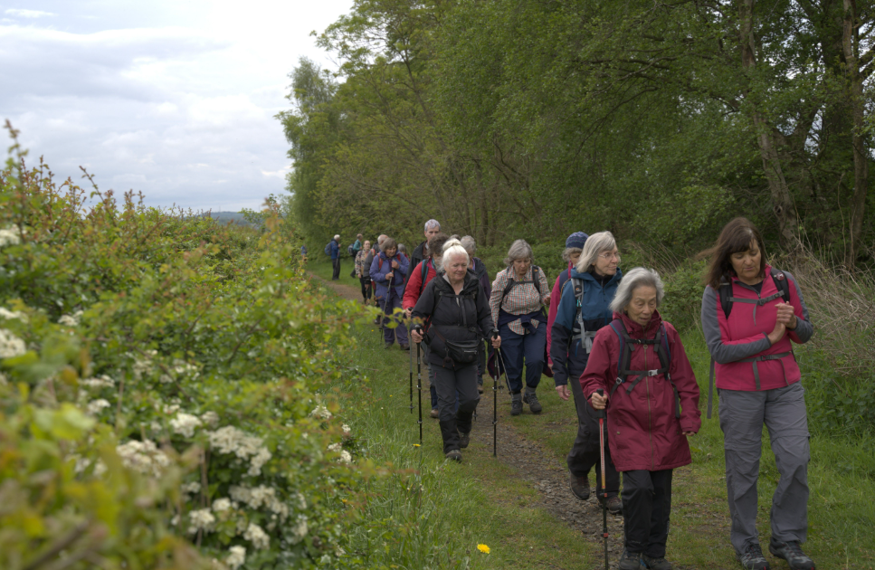 From scrolling to strolling